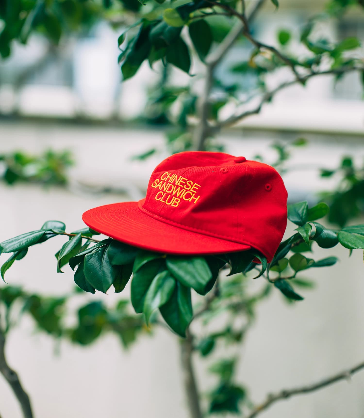 CHINESE SANDWICH CLUB