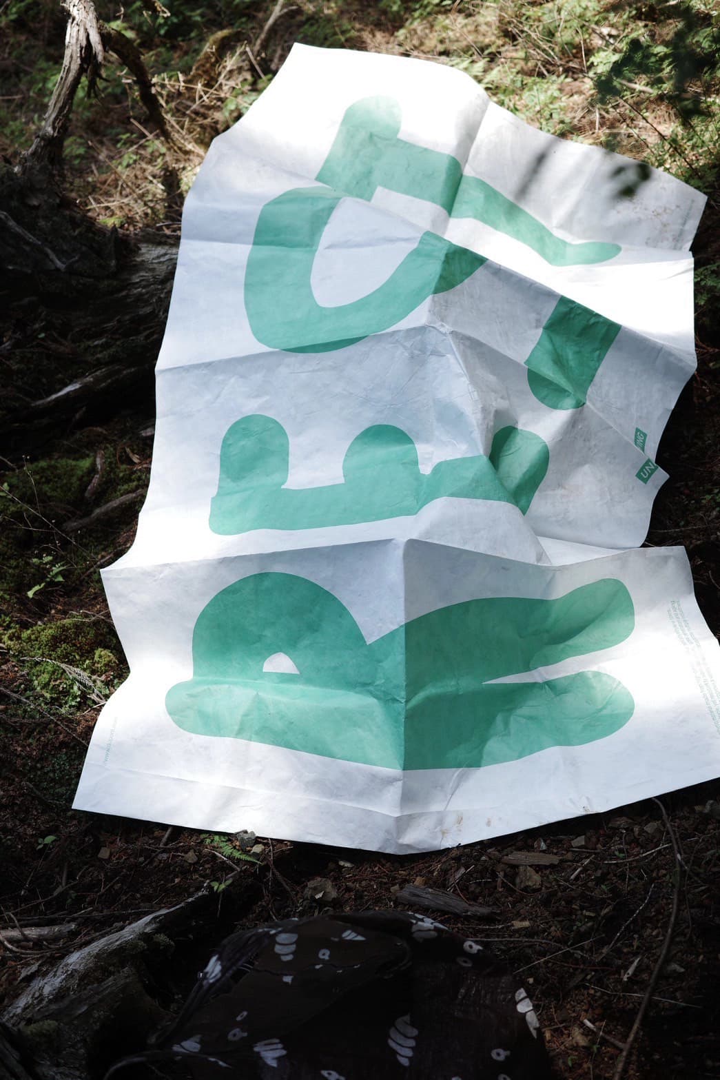 REST タイベックシート