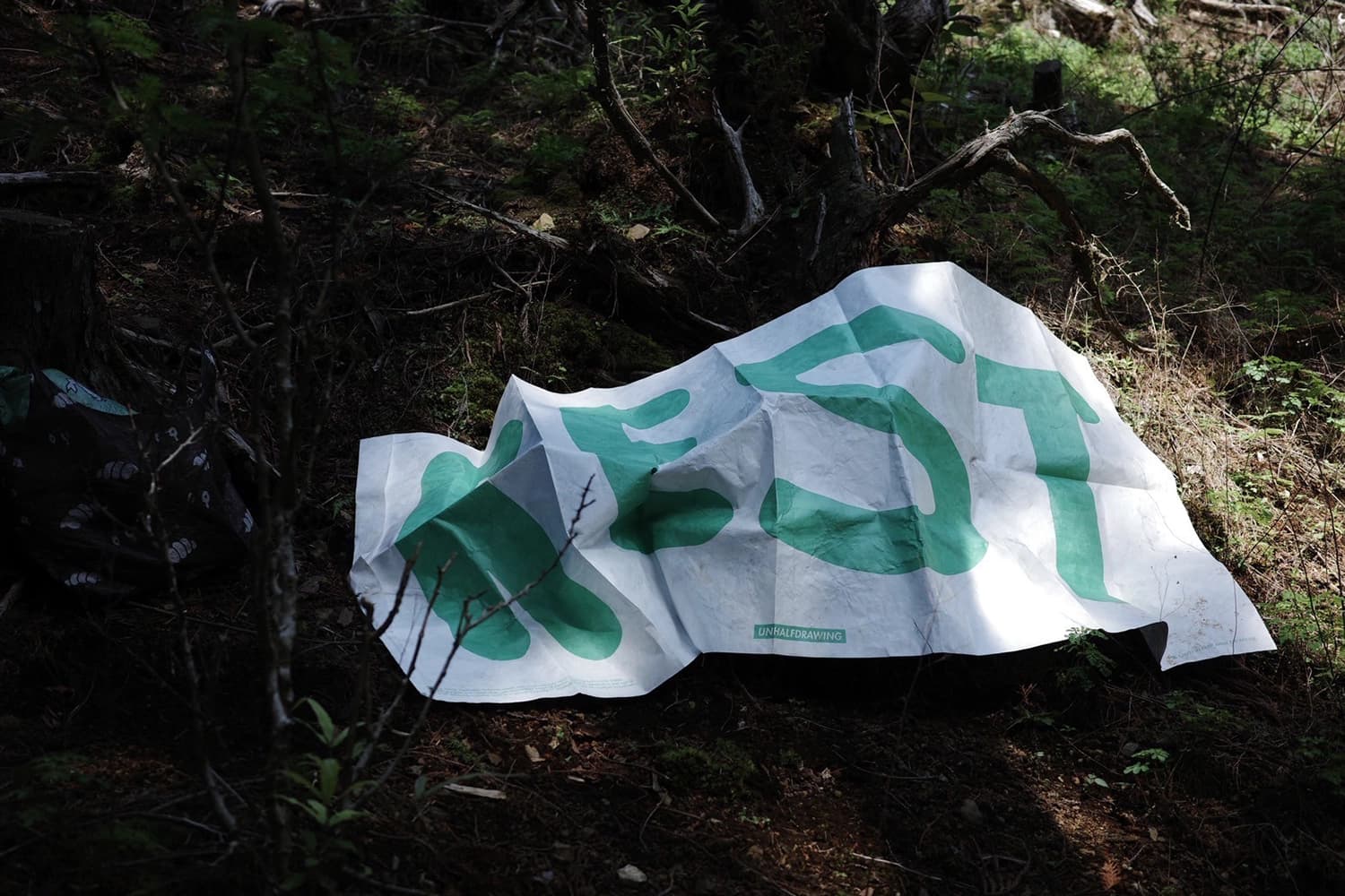 REST タイベックシート