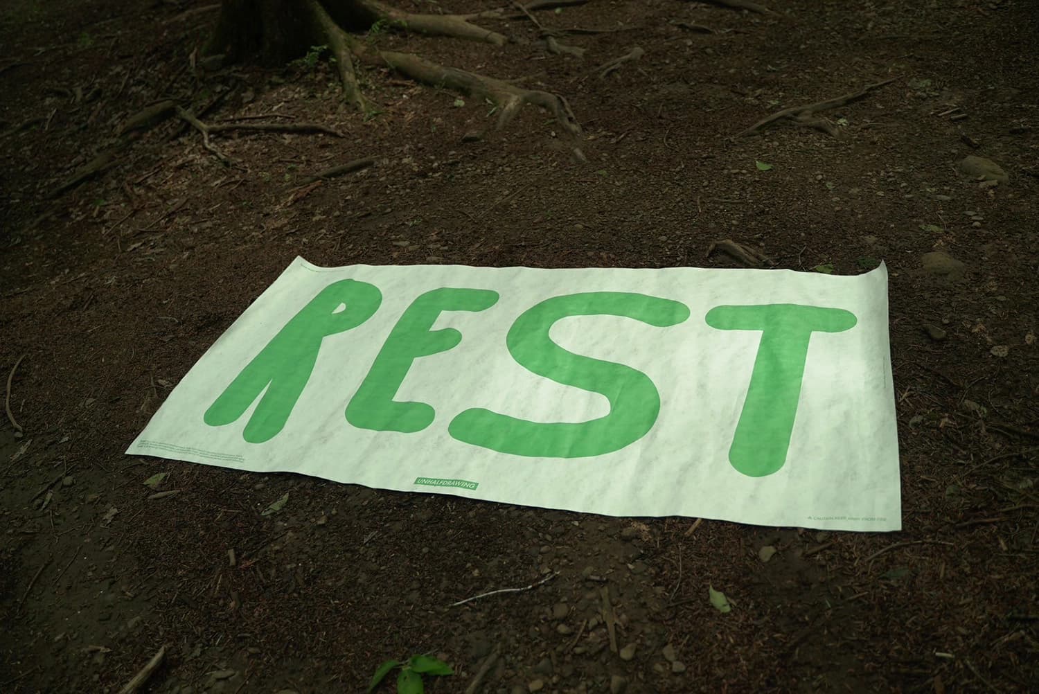 REST タイベックシート